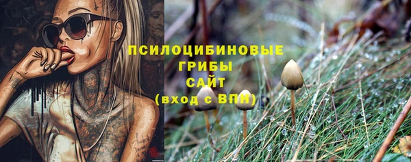 мет Горно-Алтайск