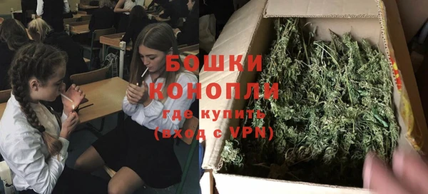 крисы Гусь-Хрустальный