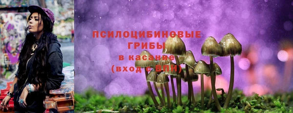 кокаин Гусиноозёрск