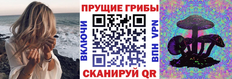 Псилоцибиновые грибы Magic Shrooms  Камышин 